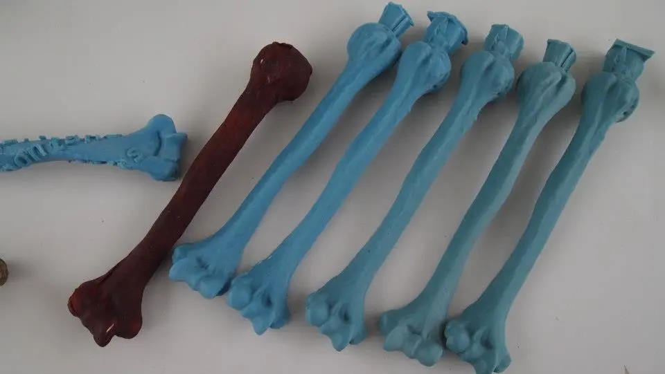 Wax copies of Caspar Berger's humerus prior to being cast in precious metals