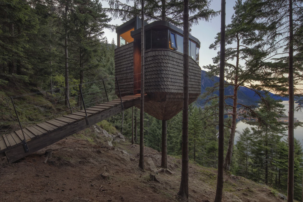 Woodnest is raised roughly 5.5 m (18 ft) above the forest floor