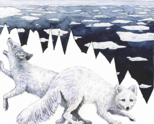 Showing Arctic sea ice melt from 1980 to present