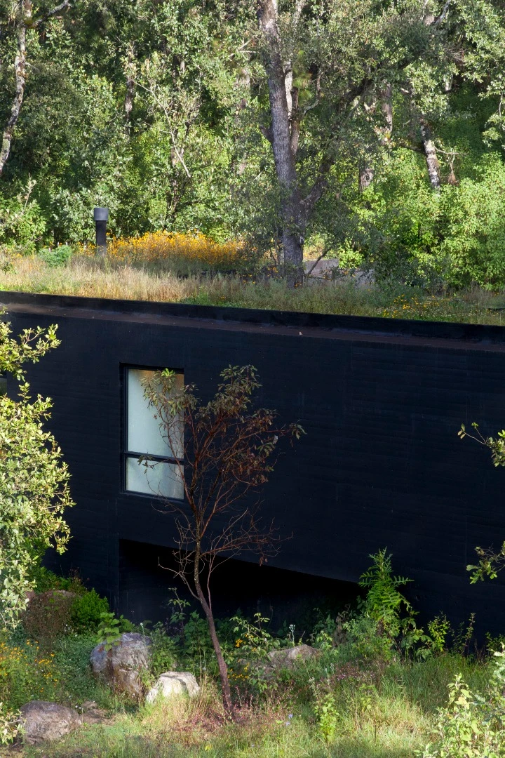 The Casa de la Roca goes to some lengths to blend in its natural environment