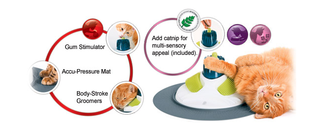 Senses Cat Massage Center