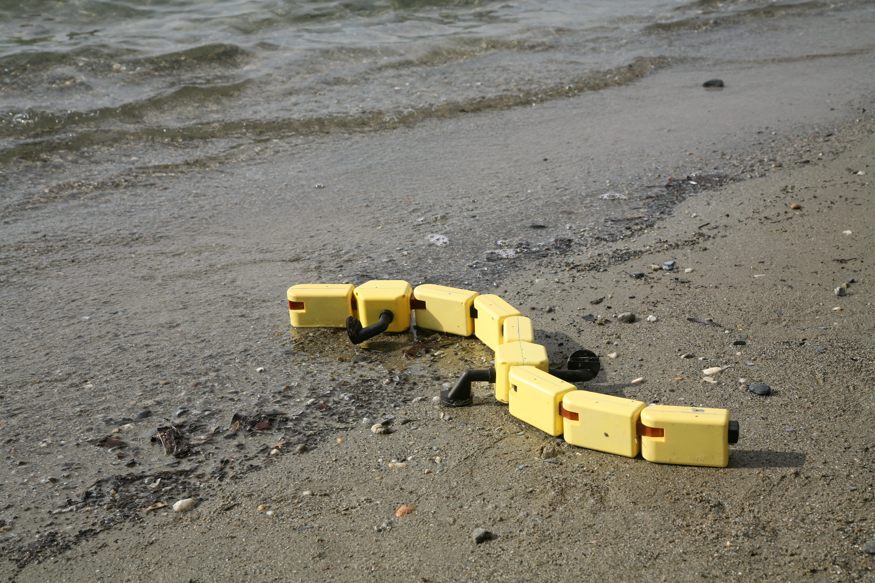 The Salamandra robotica is the first robot that's equally capable of swimming like a fish, crawling like a snake, and walking like a lizard (Photo Credit: A. Herzog, Biorobotics Laboratory, EPFL)