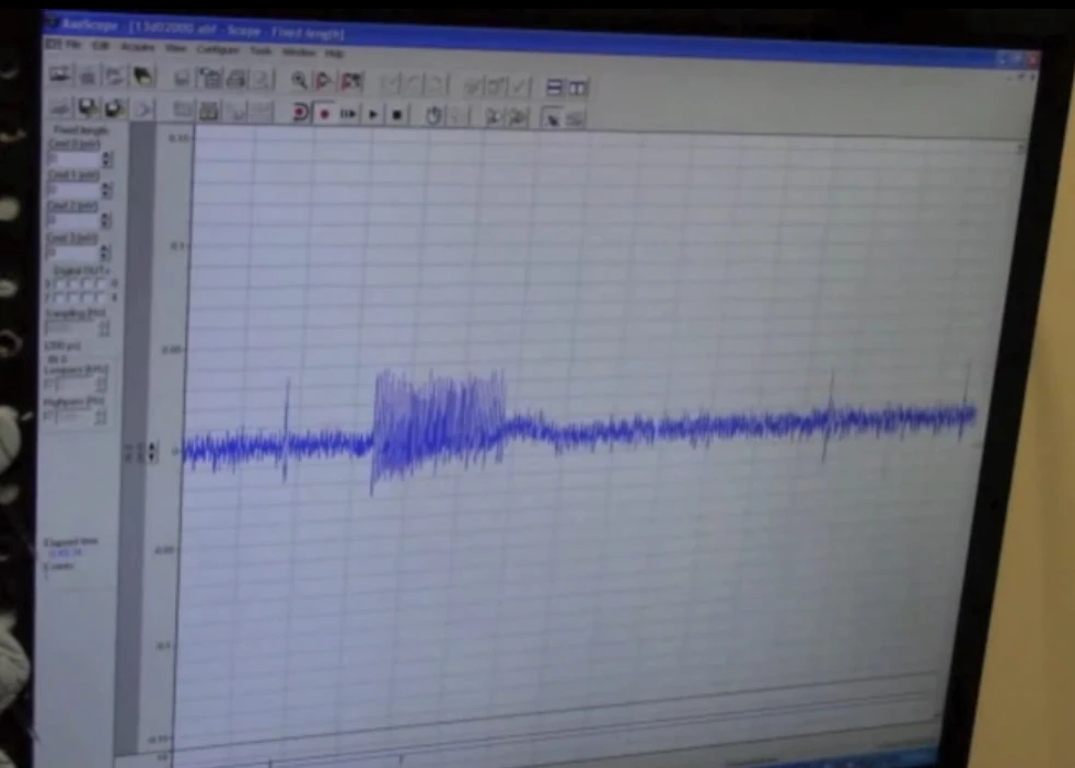 A control reading of a researcher blowing on a mosquito and causing a peak in receptor activity