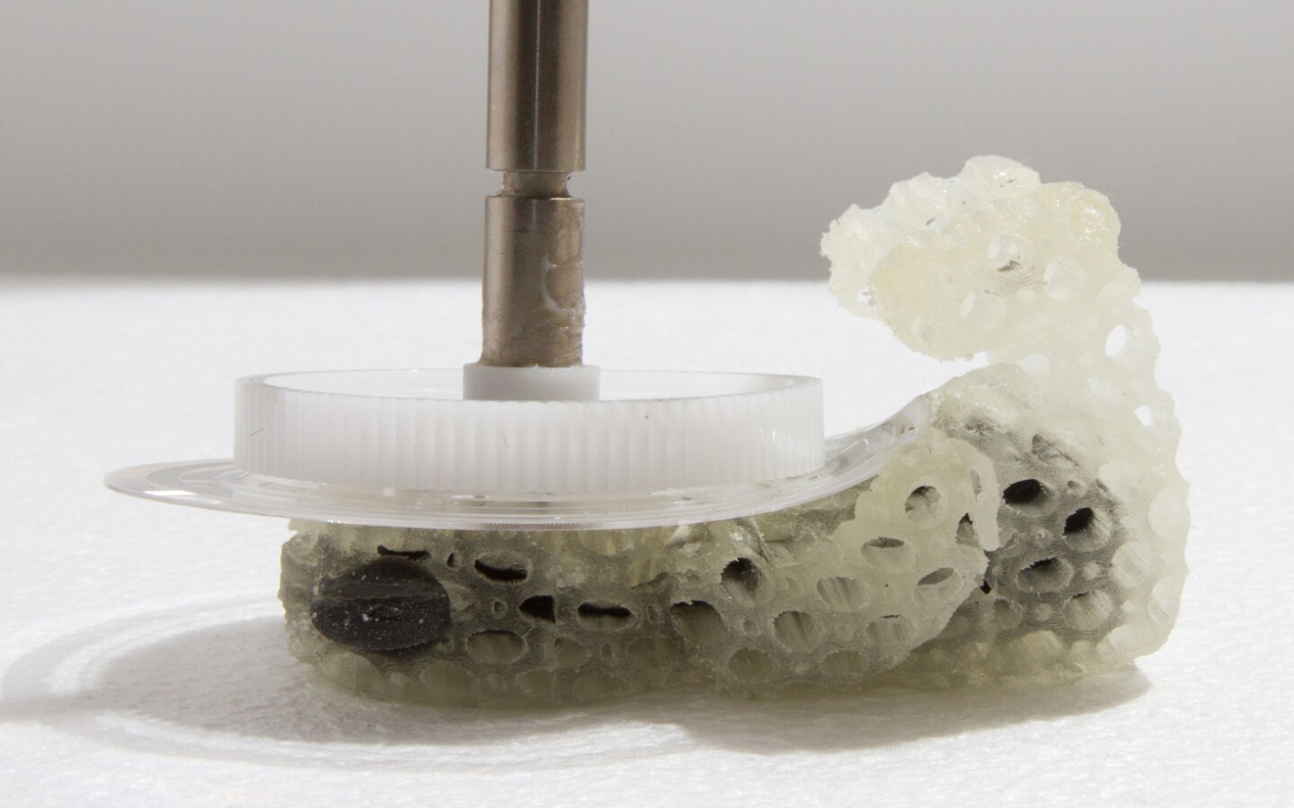 Compressing the 3D printed teddy bear (Photo: MIT Computational Fabrication Group)