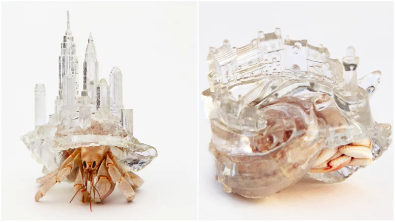 Artificial shells for hermit crabs by Aki Inomata (© AKI INOMATA)