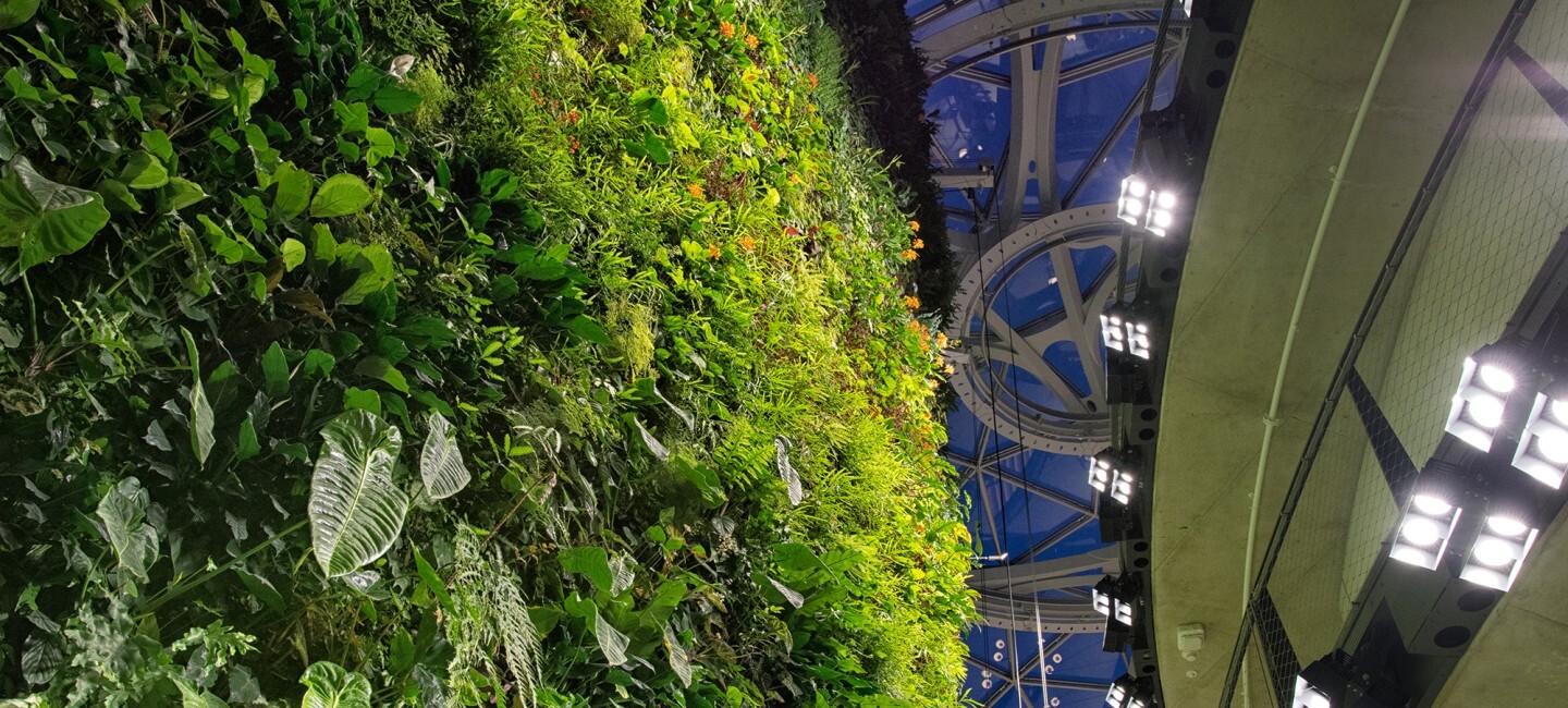 Amazon's Spheres blends workplace with tropical forest