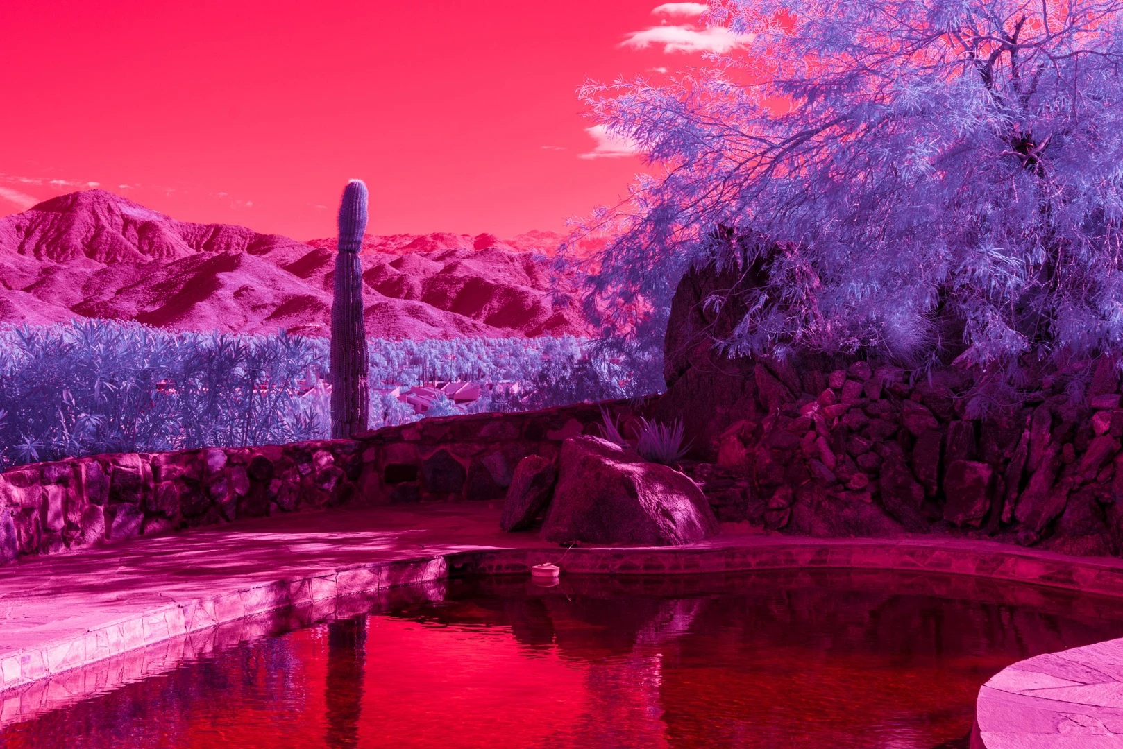 Kate Ballis’ series Infra Realism is an extreme, stylized take on the style contrasting images of classic mid-century Palm Springs architecture with jarringly sharp and disorientating infrared purples and reds