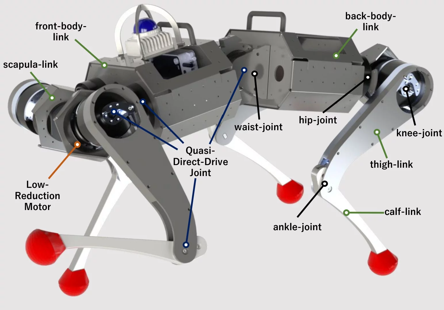 Diagram showing the numerous joints of the KLEIYN quadruped, which combine for a total of 13 degrees of freedom