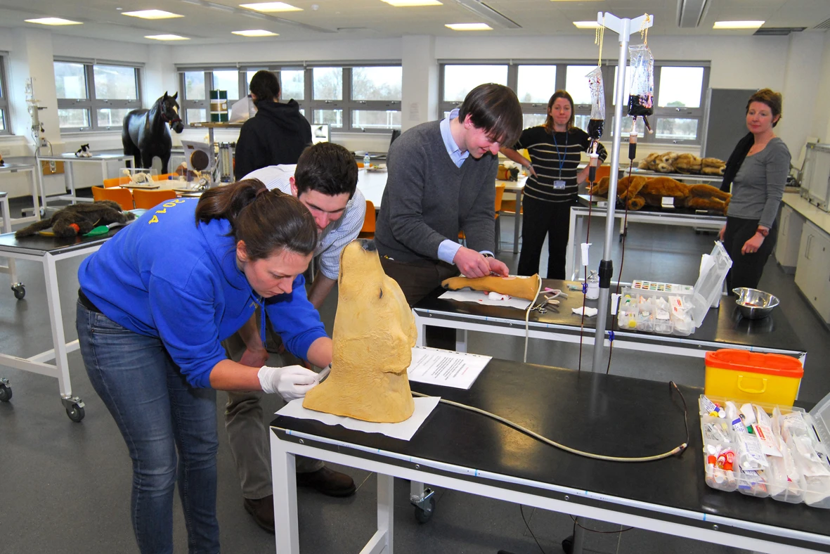 Students at the Jeanne Marchig International Centre for Animal Welfare Education at the Royal (Dick) School of Veterinary Studies (Photo: Norman Russell, Royal (Dick) School of Veterinary Studies, The University of Edinburgh)