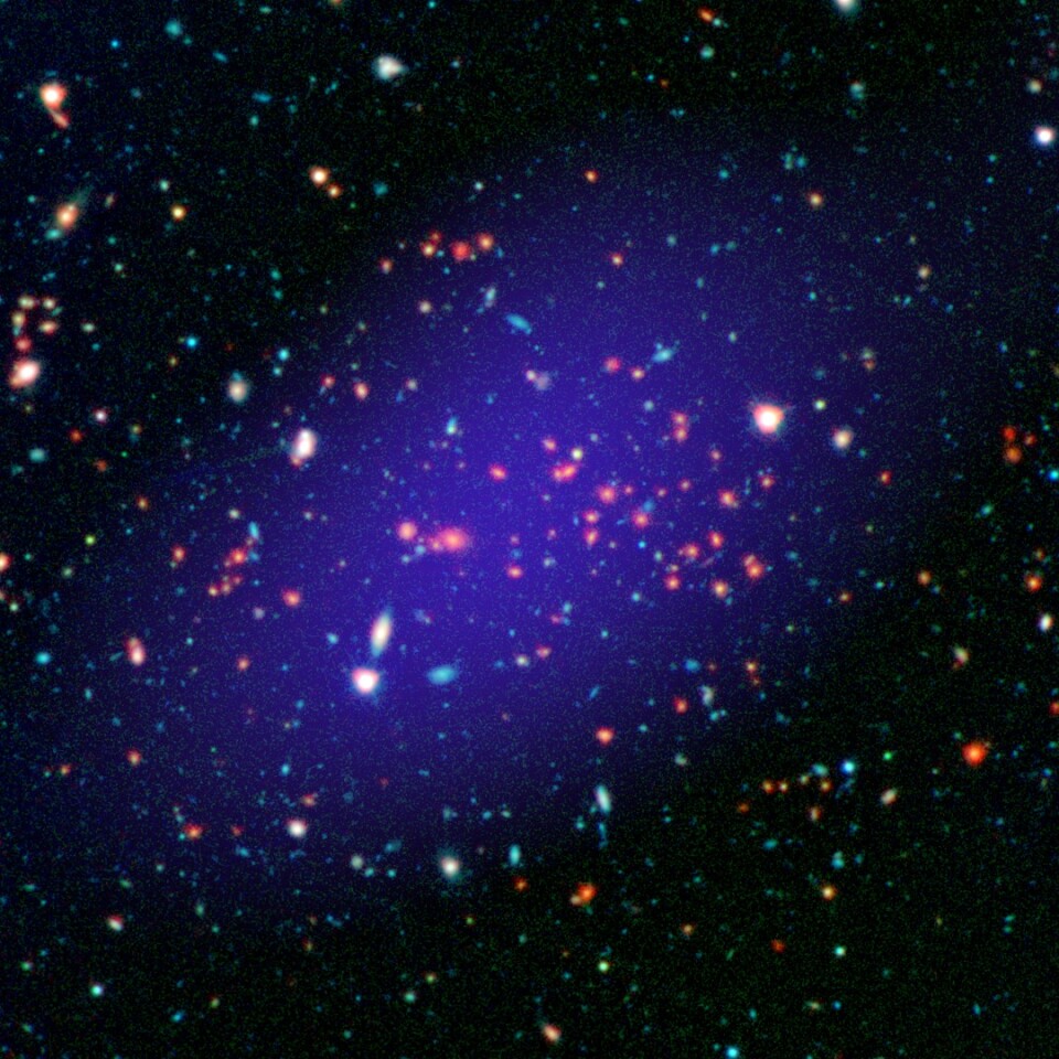 Astronomers discover massive galaxy cluster 8.5 billion lightyears from Earth