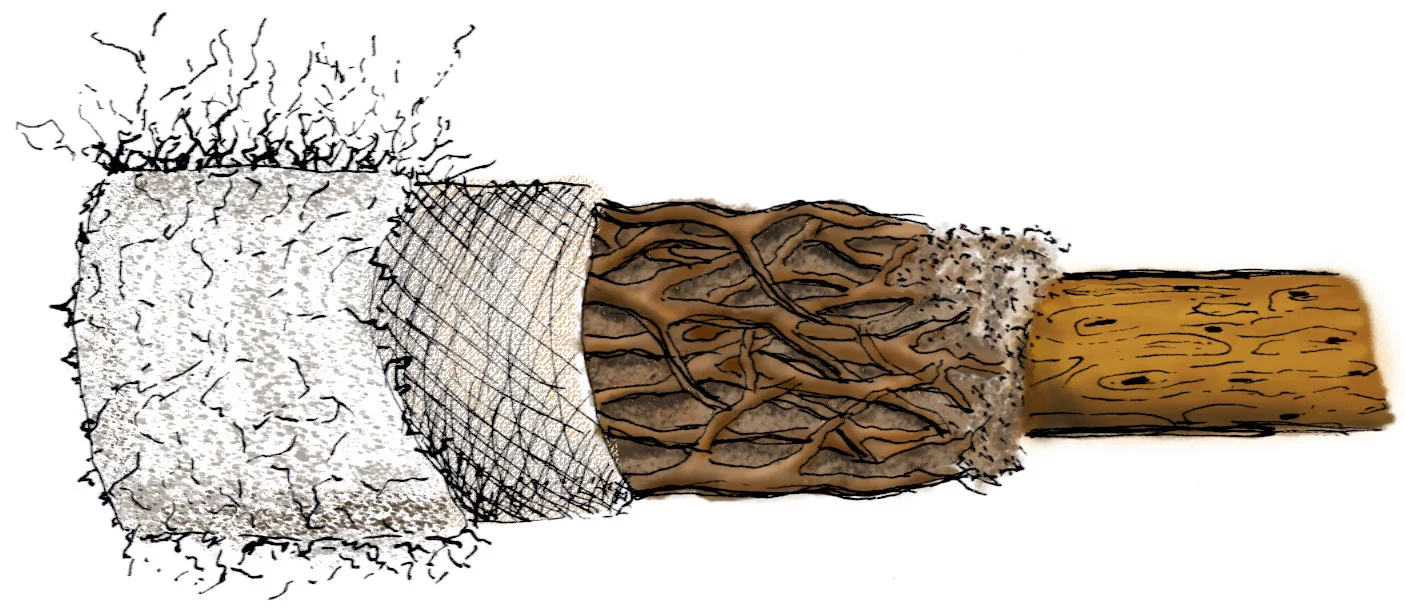 The Living Filtration System was inspired by earthworms
