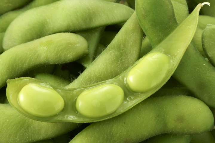 Goodyear has determined that soybean oil used in tire production could reduce the amount of petroleum-based oil needed, and increase tread longevity (Photo via Shutterstock)
