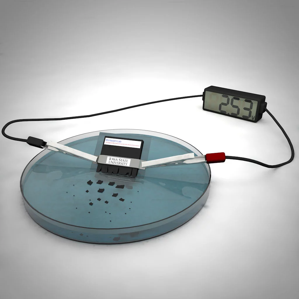The battery can power a desktop calculator for approximately 15 minutes, but also dissolves within about half an hour once immersed in water