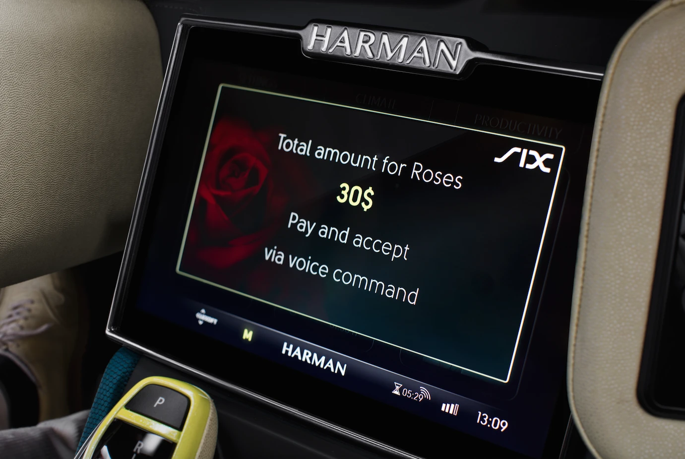 Purchase roses from your connected cockpit; then send your drone out to get them