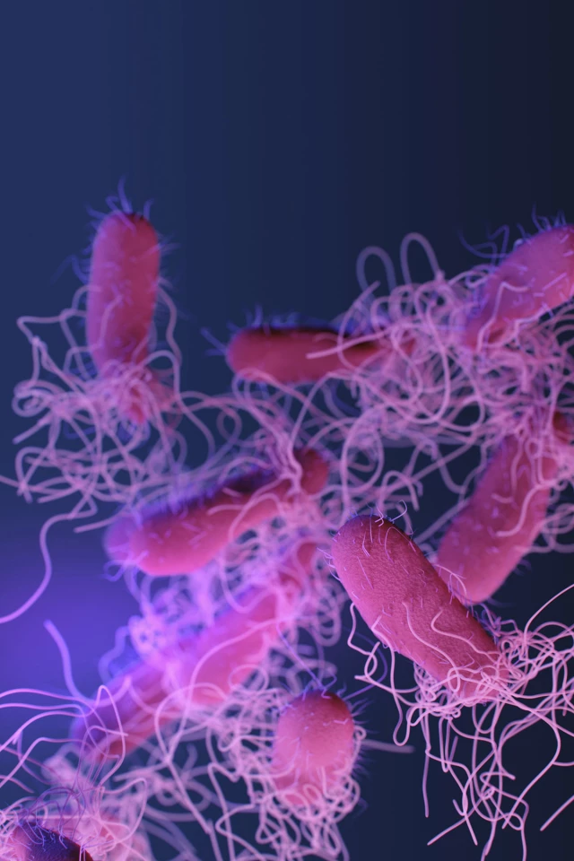 Drug–resistant nontyphoidal Salmonella bacteria can cause stomach cramps and diarrhea