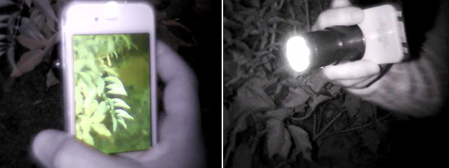 Using a Snooperscope to photograph another Snooperscope