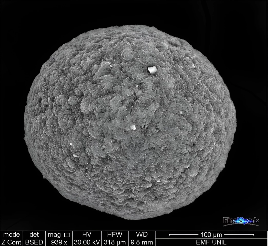 A spherical brain cell organoid