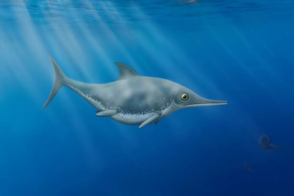 An illustration depicting the barrel-bodied, big-eyed, small-toothed Thalassodraco etchesi