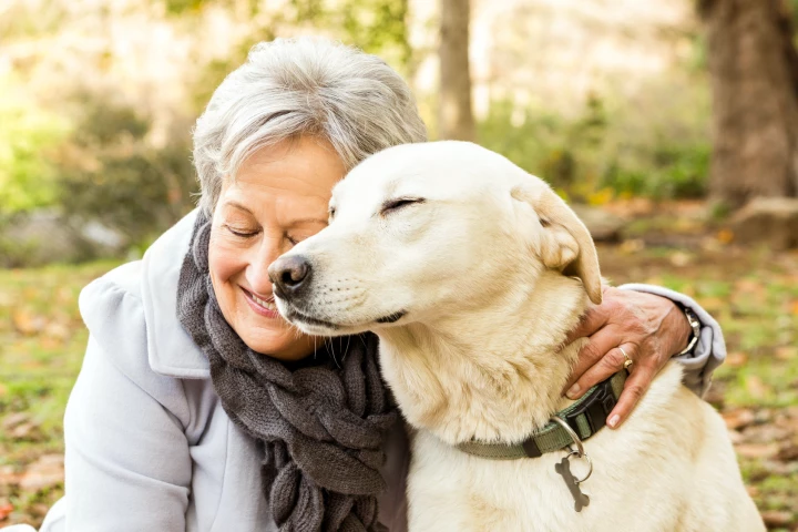 Group activities with a focus on pets foster more meaningful connections