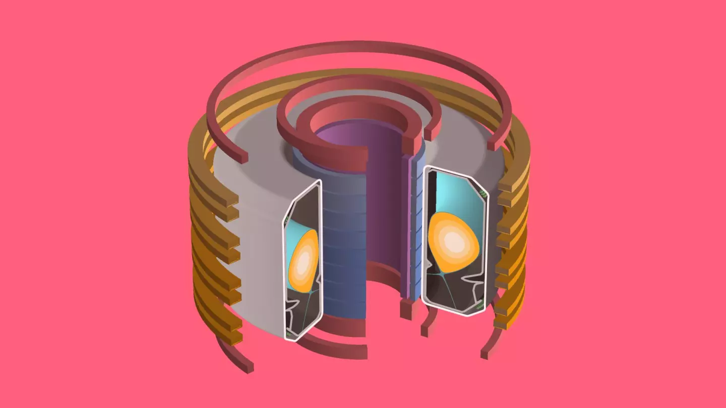 A 3D model of the tokamak reactor at the SPC