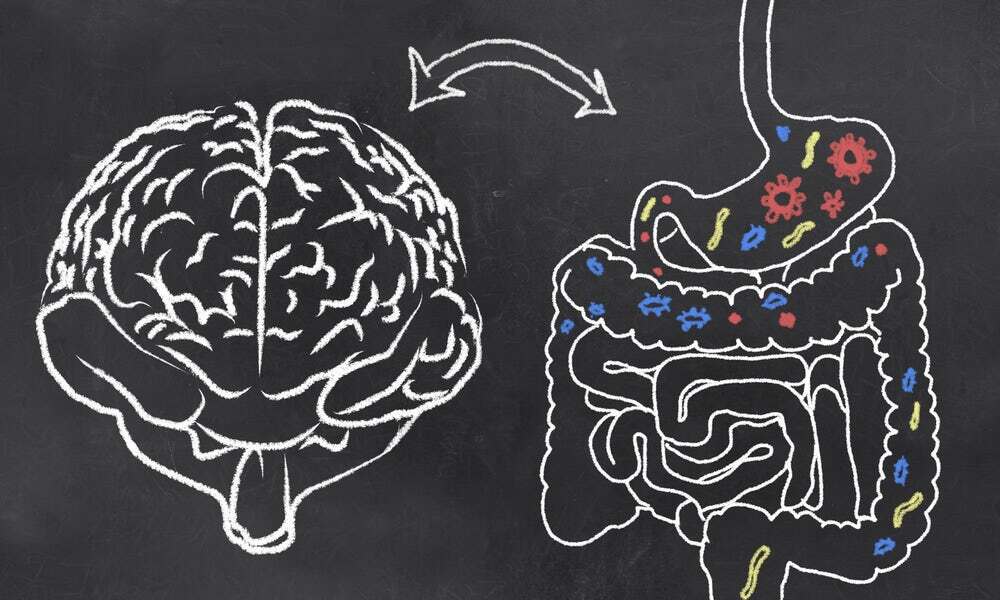 Depression and PTSD may be linked to bacteria in the gut