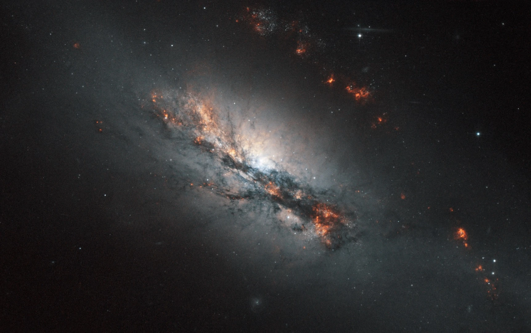 A galaxy being stretched out of shape has been imaged by the NASA/ESA Hubble Space Telescope. Known as NGC 2146, it has been severely warped and deformed so that an immense dusty arm of glittering material now lies directly in front of the centre of the galaxy, as seen in the image