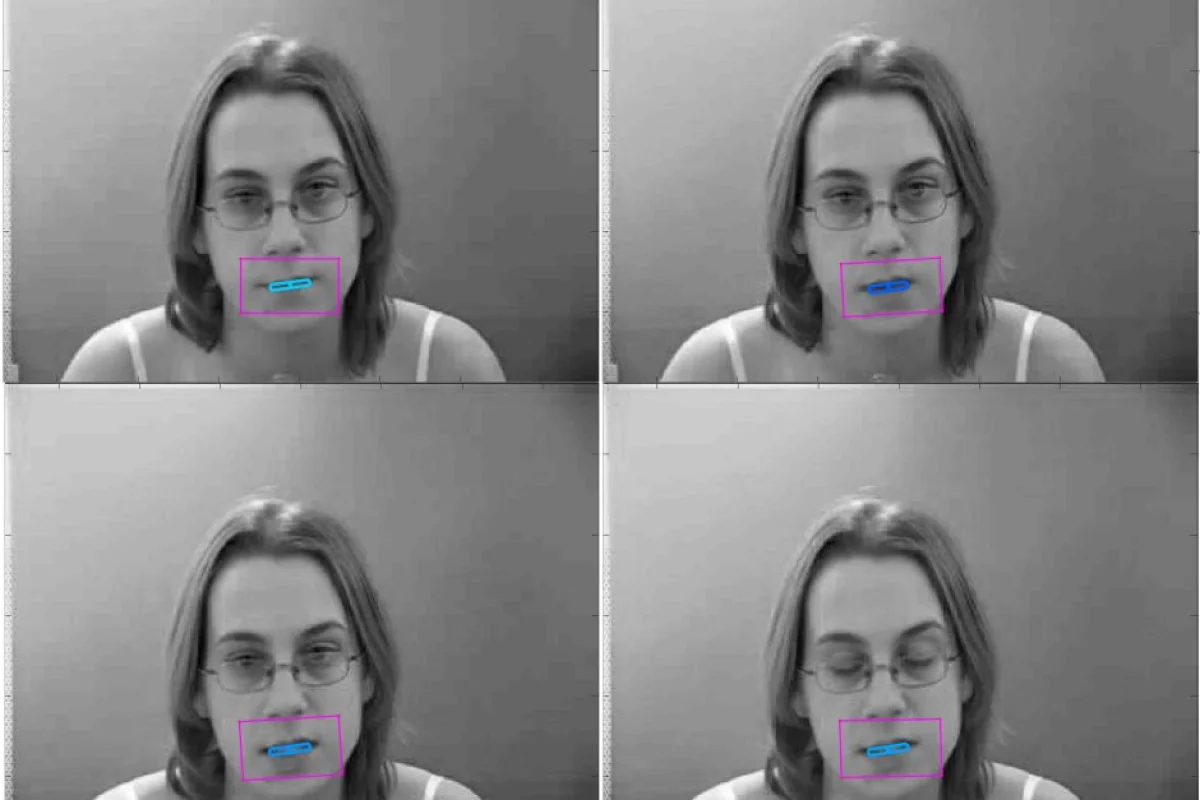 The scientists have already developed a 3D mouth-tracking algorithm