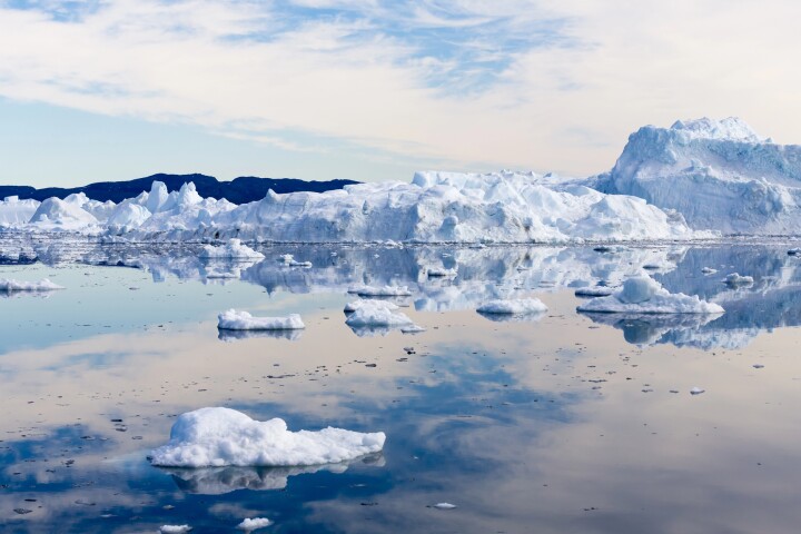 The creatures living in the Arctic Sea could hold the key to fighting antibiotic resistant bacteria on land