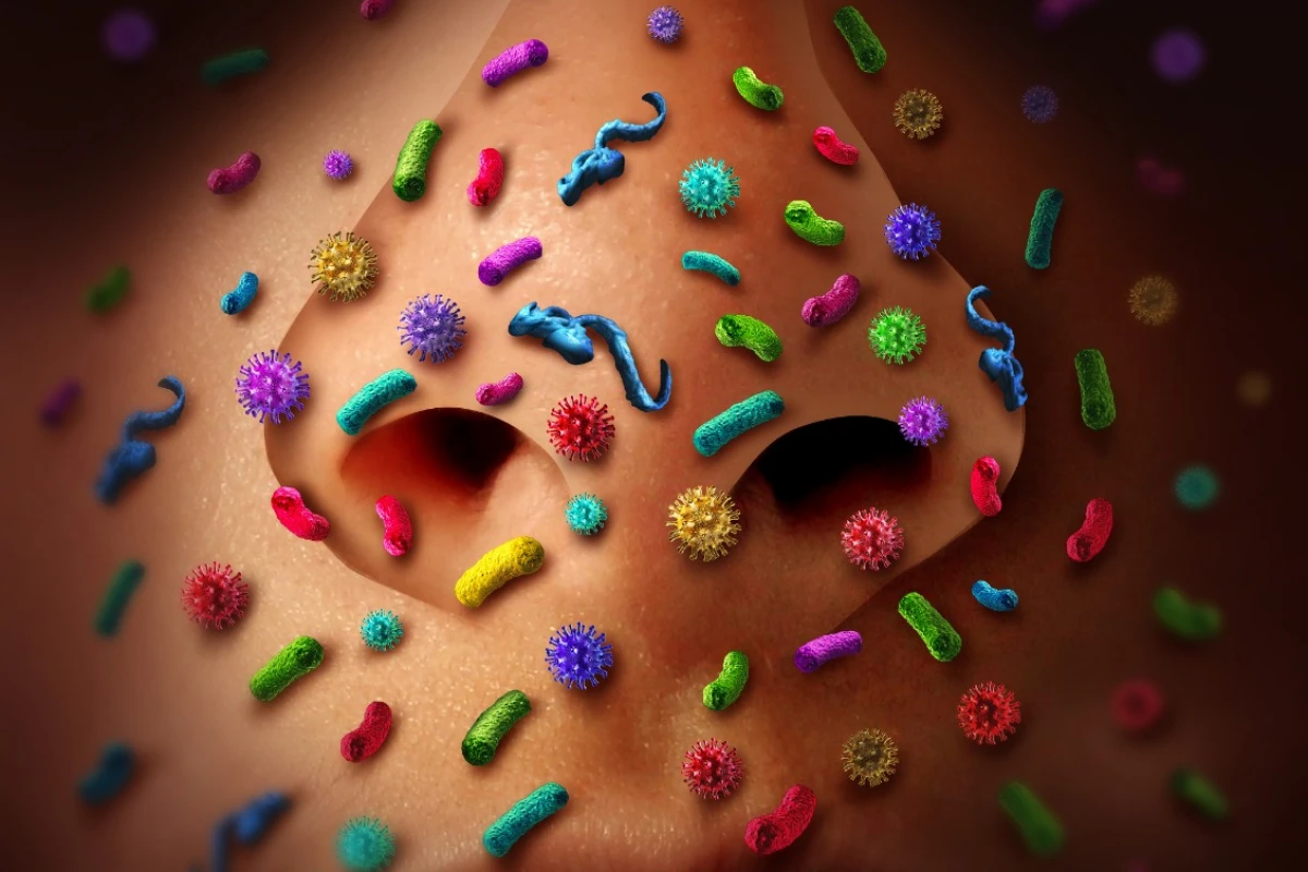 A new study suggests that the bacteria in your nose and throat may influence whether or not you'll get the flu