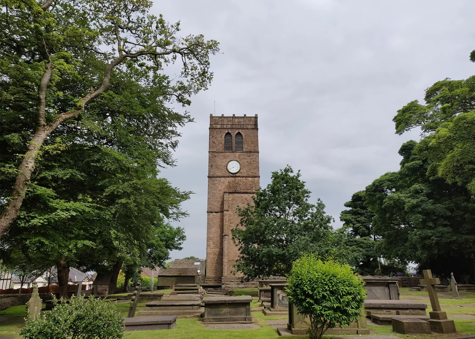 You can get some fine shots from the OnePlus 6, with vibrant colors and sharp details