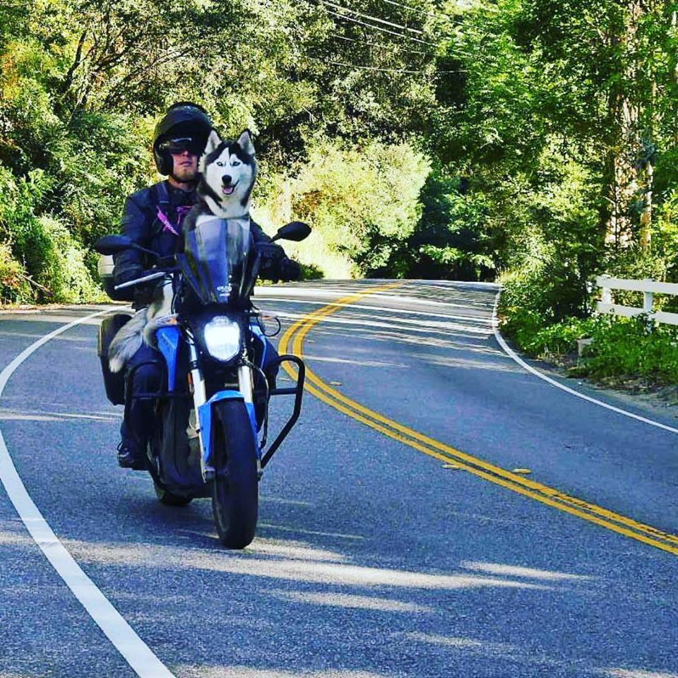 Terry and Charger on the road: a quiet moment
