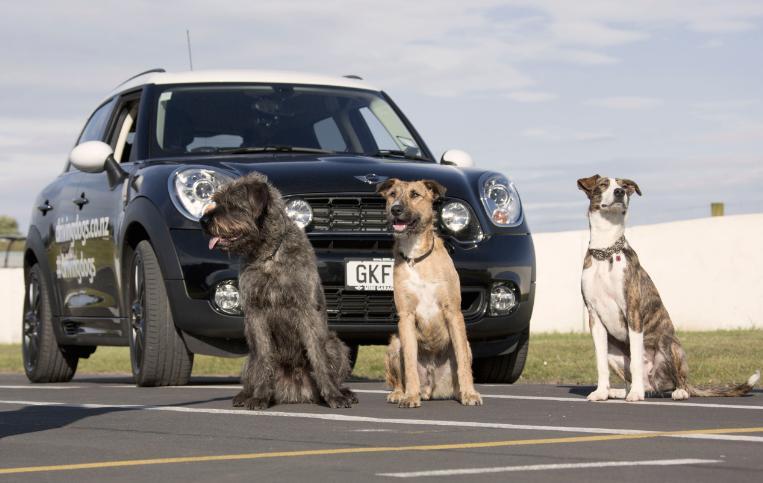 The gang and their ride