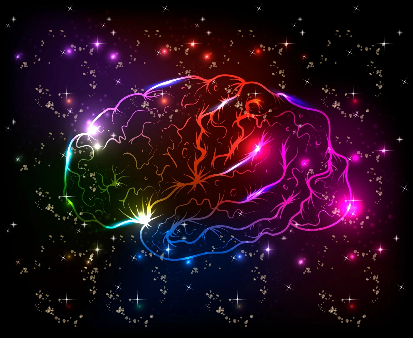A new study suggests a person's creativity can be identified by examining how connected neural activity in the brain is