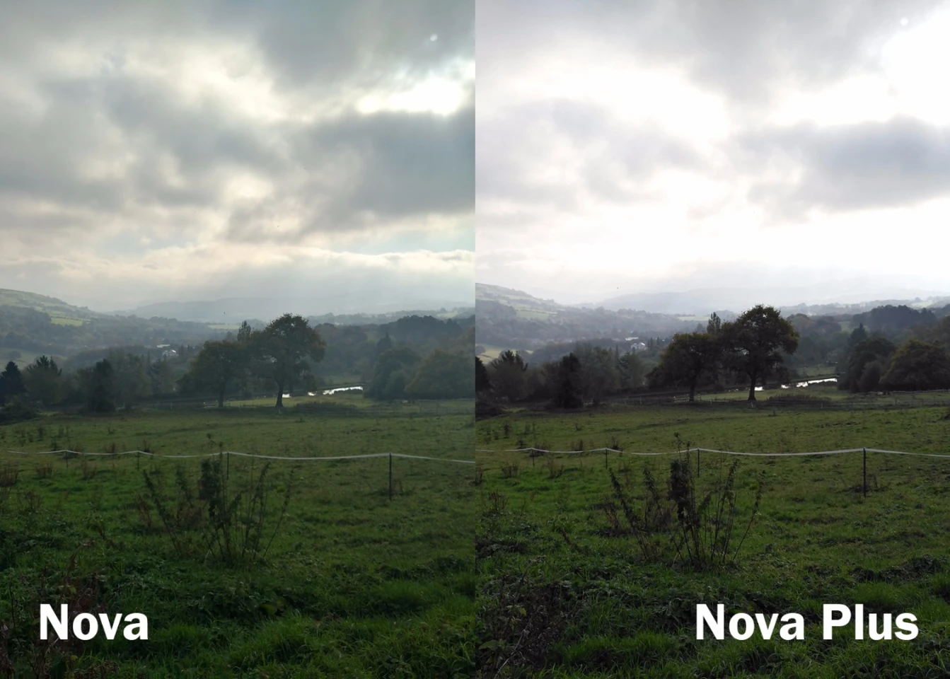 This is a tricky high contrast shot to get right but both phones cope well