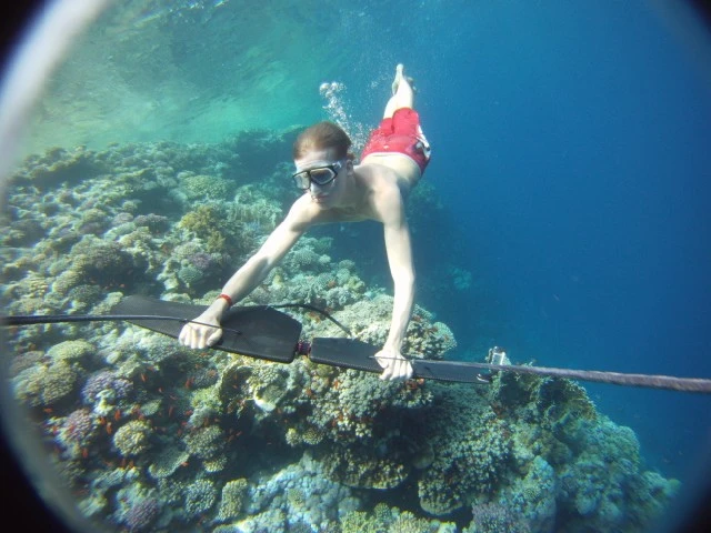 The Subwing is a device that is towed behind a boat, allowing the rider to "fly" underwater