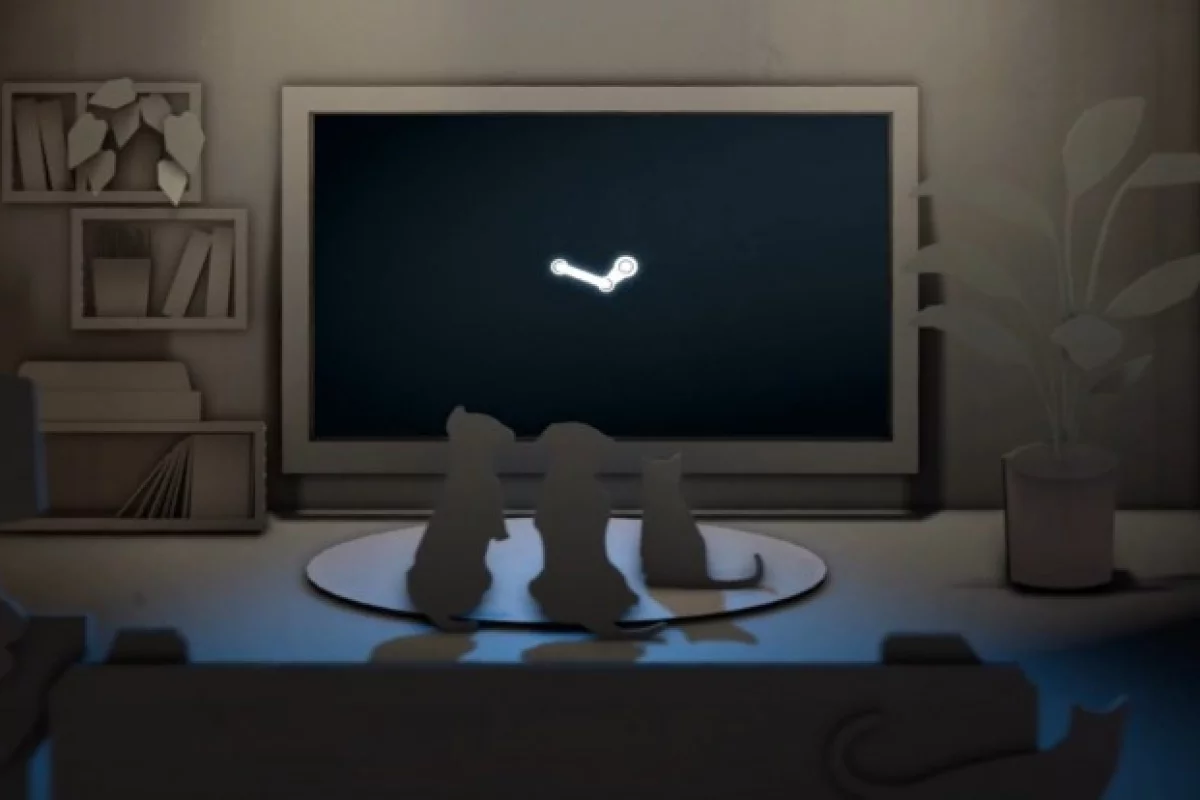 Valve's Gabe Newell has finally confirmed that Valve has a "Steam Box" games system in the works