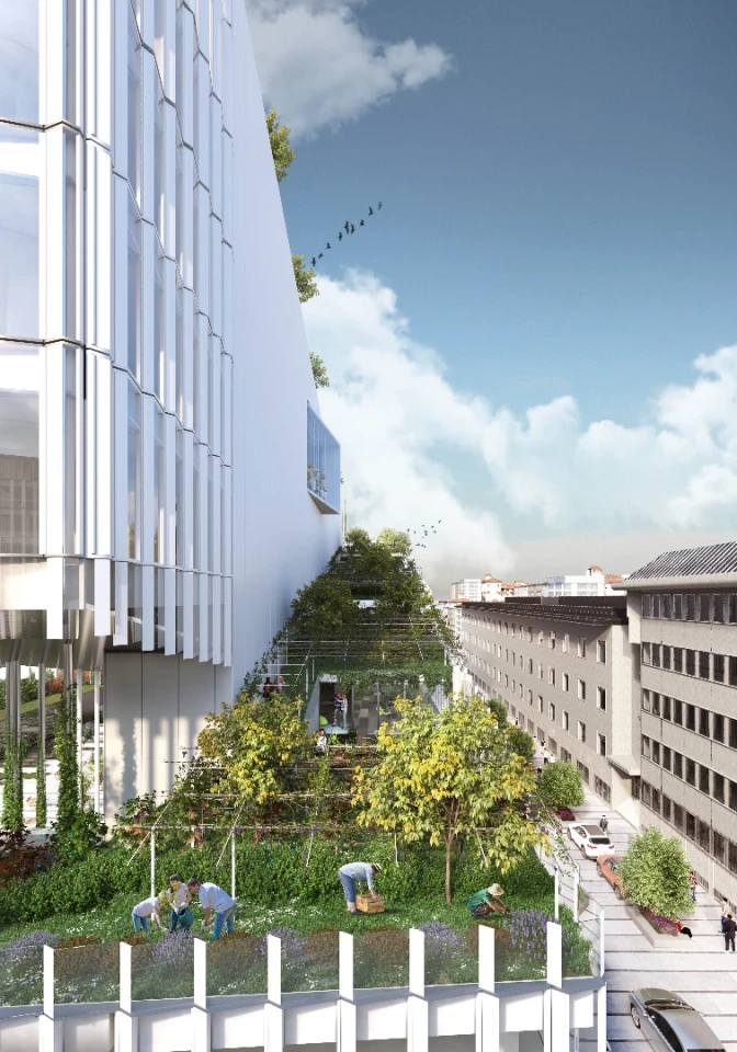 Vitae will include a 200-m (650-ft)-long urban vineyard