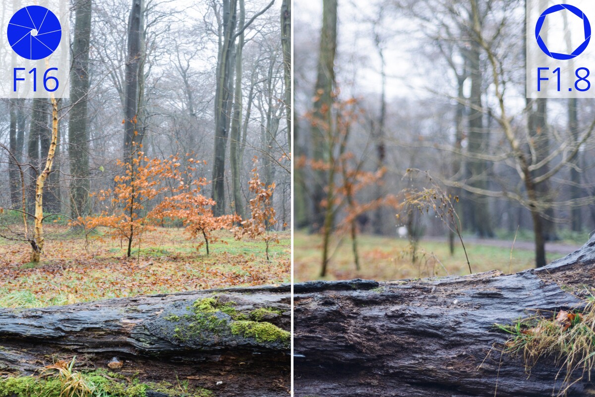 Photographers can change aperture to control the amount of light in a photo and adjust the depth of field
