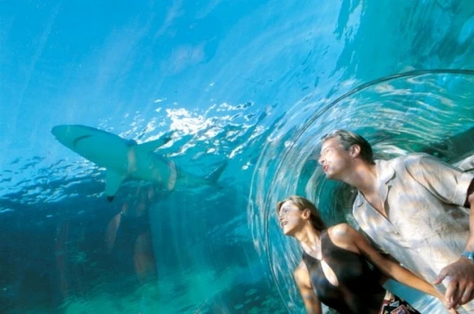 Stay dry for the underwater experience