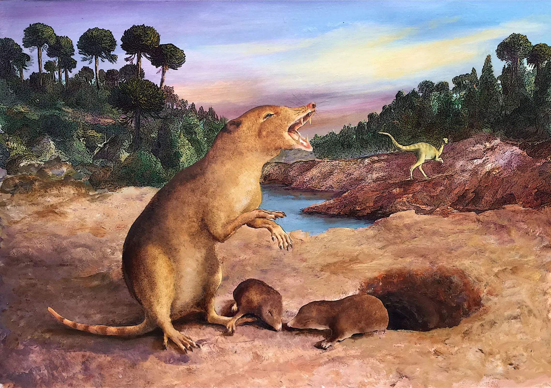 An artist's impression of Brasilodon, a 225-million-year old animal that scientists claim is now the earliest known mammal