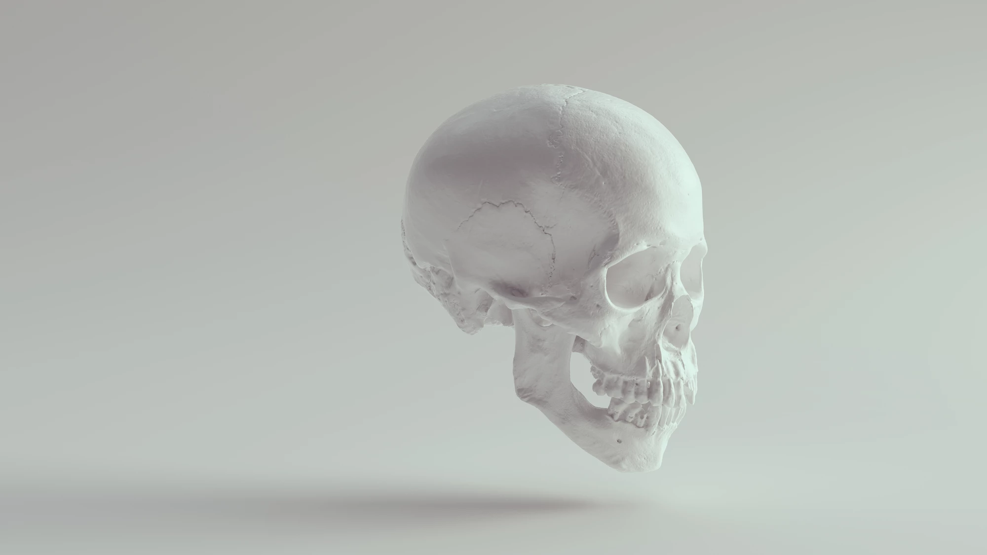 Scientists have designed new implants and engine parts modeled on bone and other natural materials that offer some very useful properties