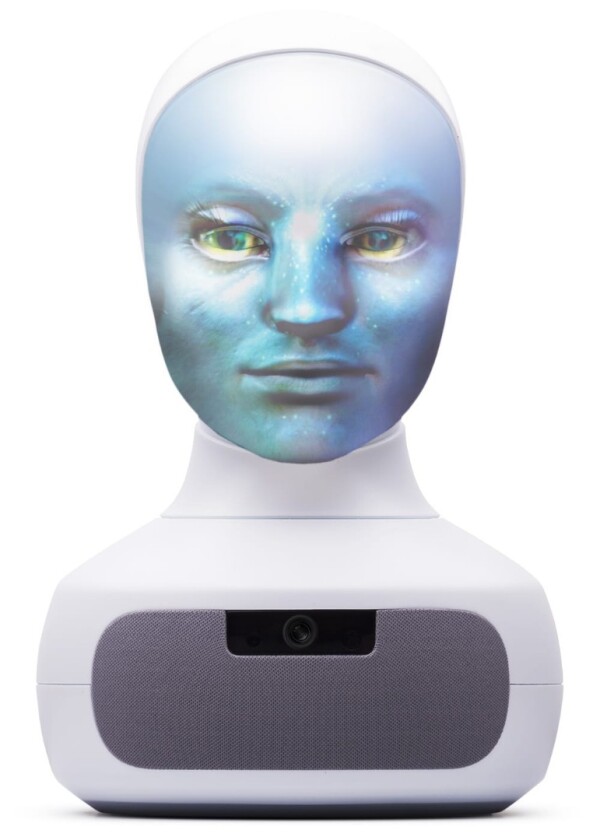 It's suggested that a variety of unconventional faces can be programmed into the system