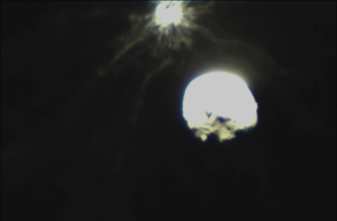 The LICIACube's view of the plume ejected from the Dimorphos asteroid after impact