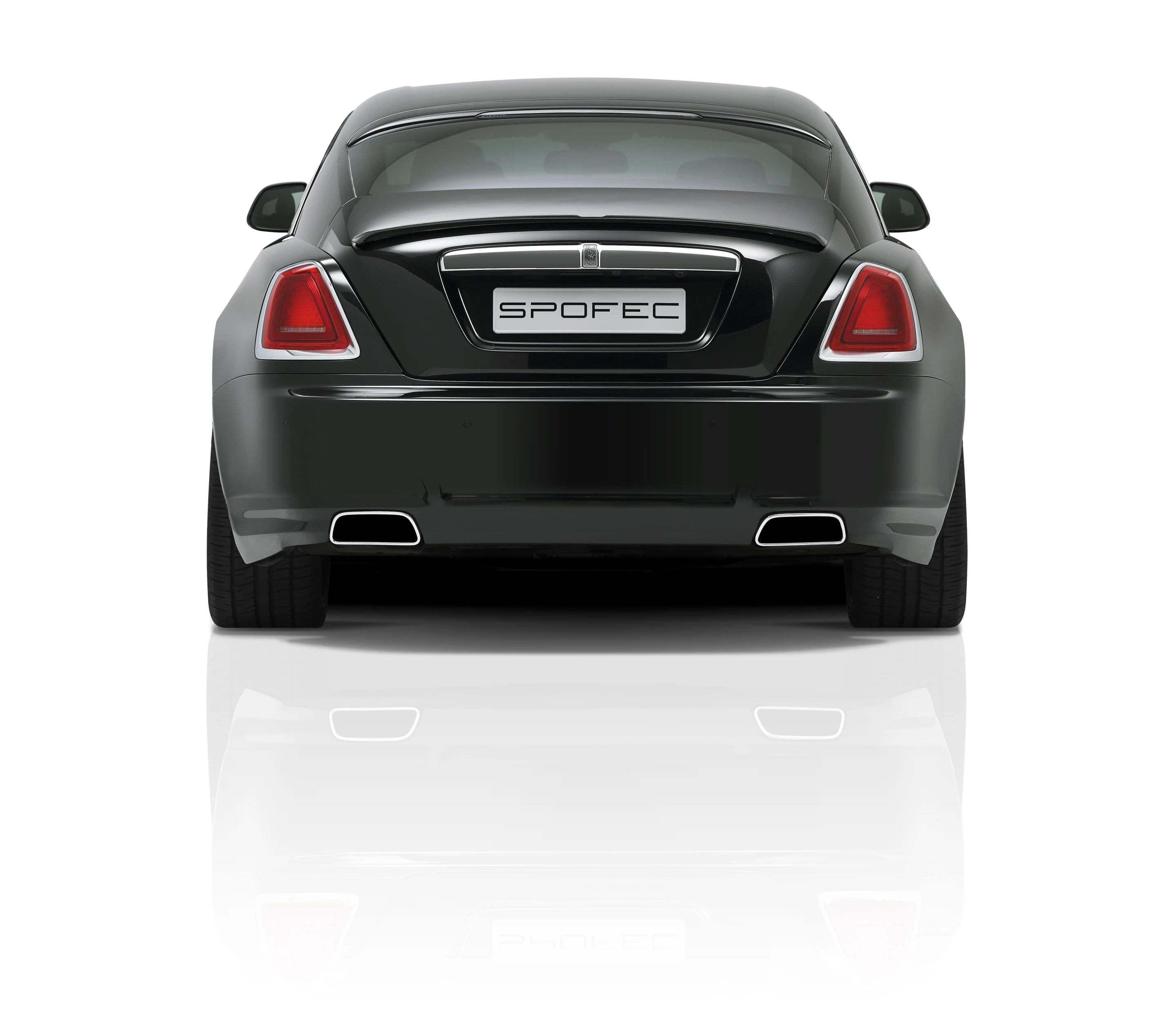 Rear view of the SPOFEC package for the Wraith