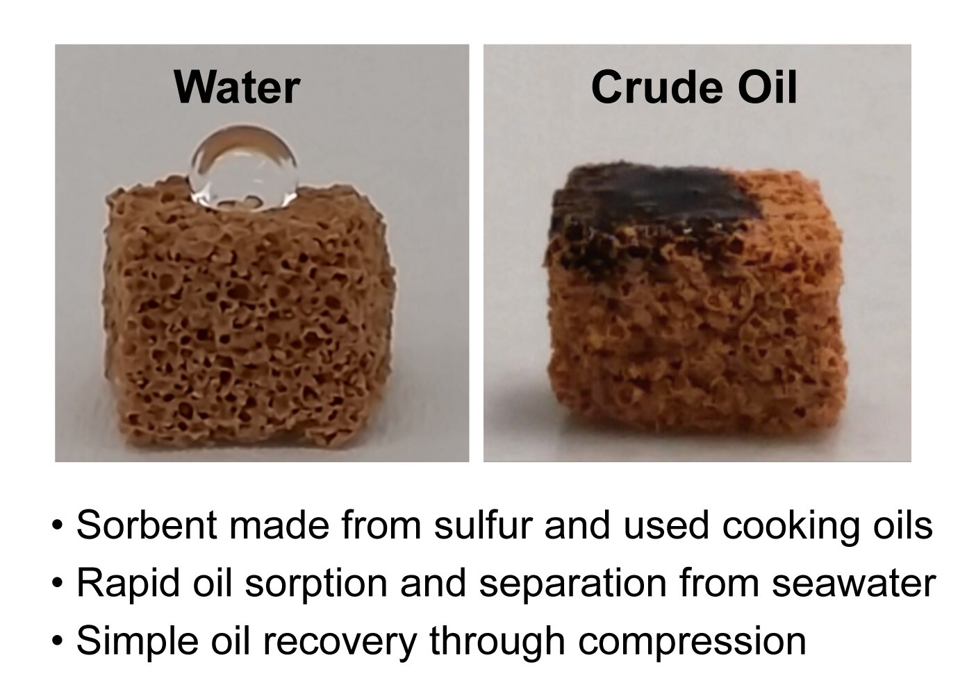 Absorbent polymer made from waste products quickly soaks up oil spills