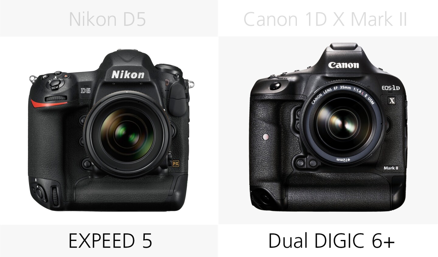 Image processor comparison of the Nikon D5 and Canon 1D X Mark II