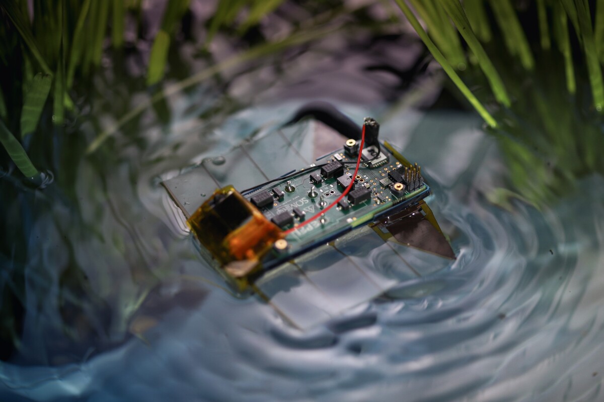 Robots collecting data in delicate aquatic environments should avoid whirring propellers that could injure wildlife or tangle in weeds. A new bot solves this problem by mimicking the swimming motion of flatworms.