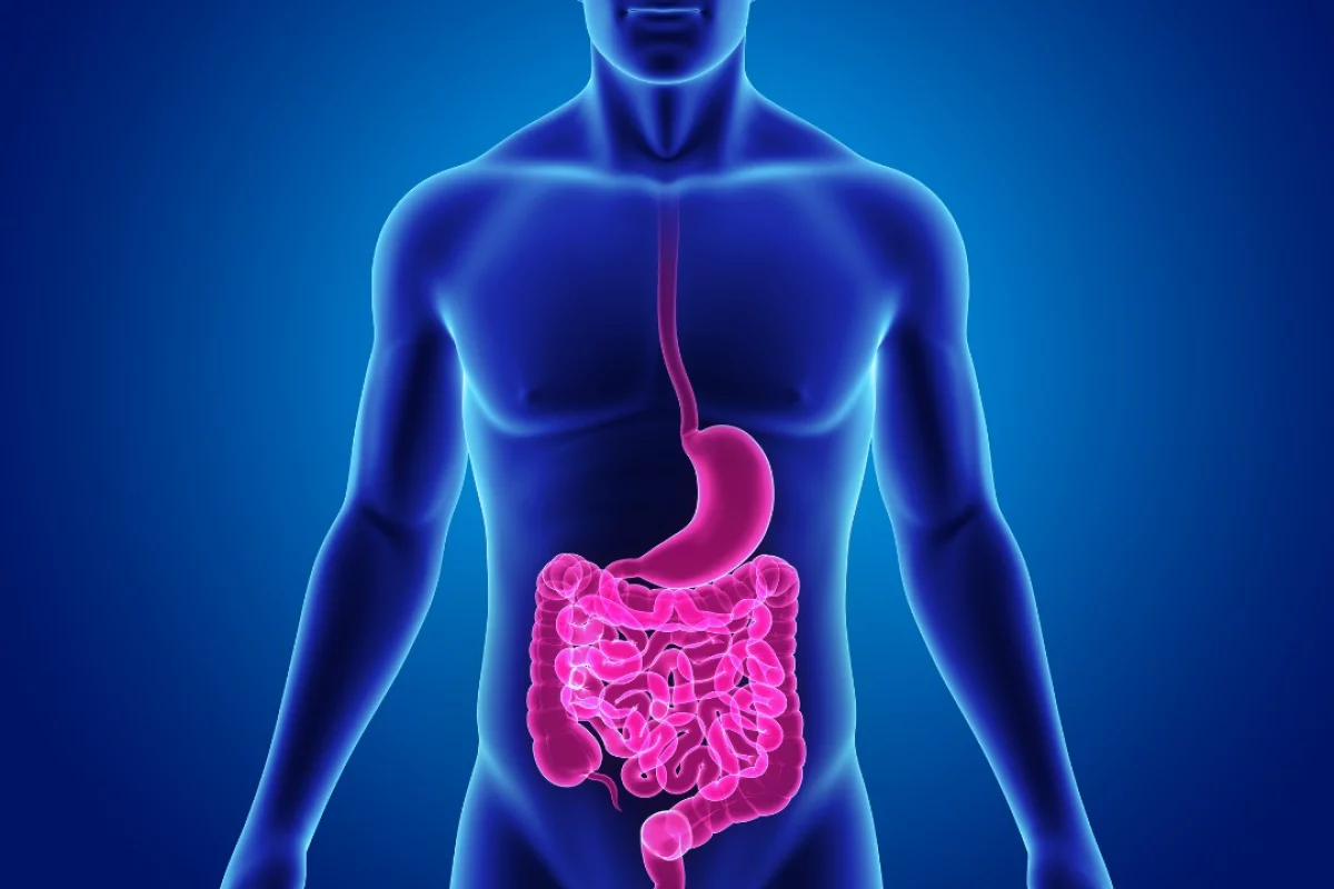 "Rebooting" a patient's immune system using stem cells is being explored as a treatment for Crohn's disease