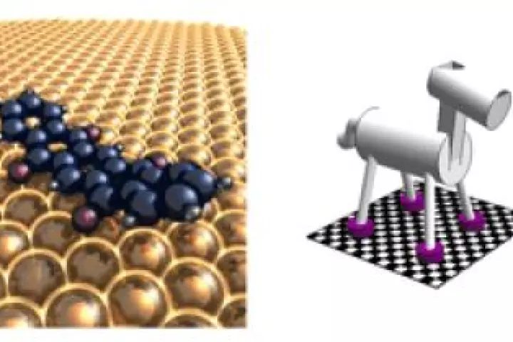 A UC Riverside study have made important steps toward making artificial walking molecular machines a reality.