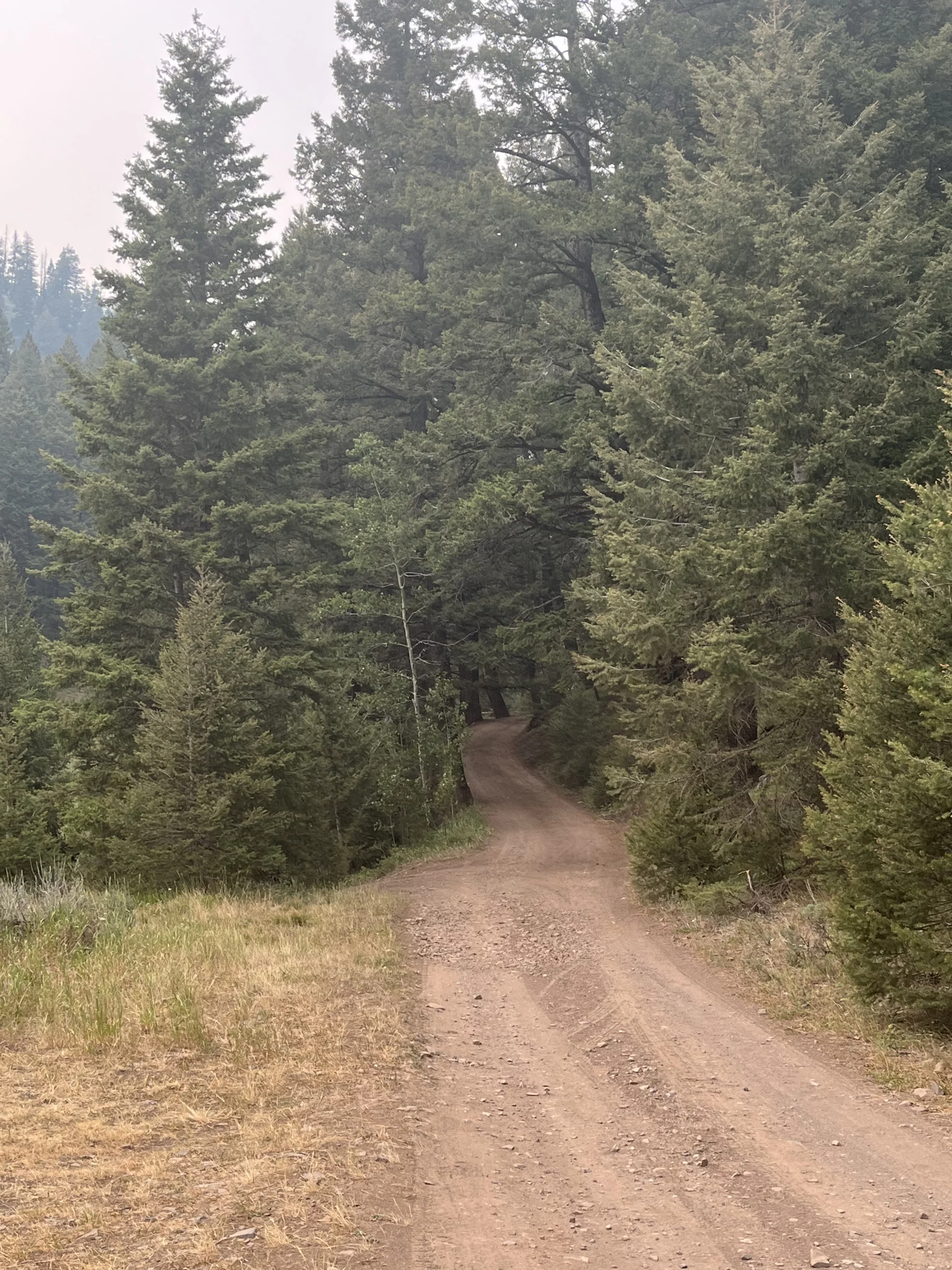 The dirt roads to camp were nice and level and not too rough but certainly narrow and unpredictable